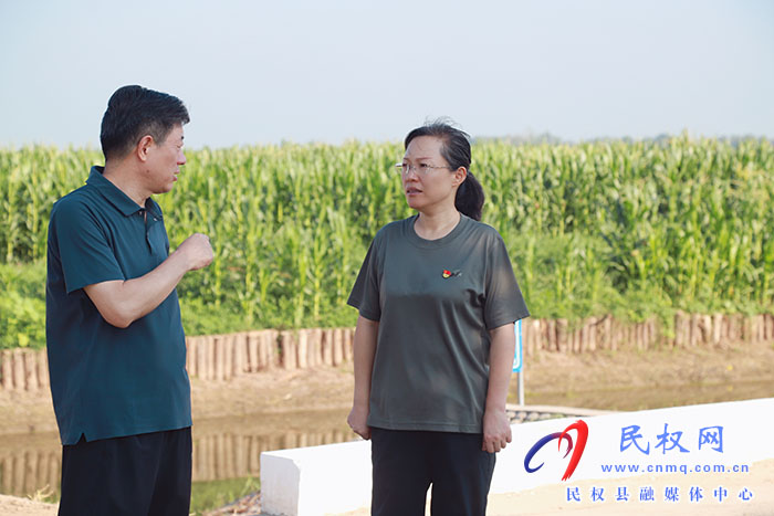 县委书记王静娴调研秋田管理及单产提升工作
