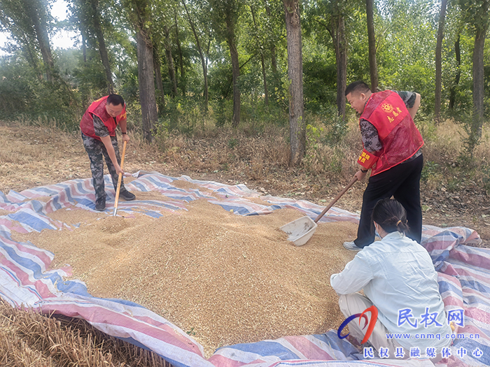 胡集乡：志愿红助力三夏生产