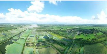 碧水林海间的生态答卷  ——民权县深入践行“两山”理念推进生态文明建设