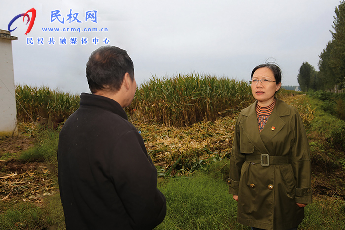 县委书记王静娴调研“三秋”工作开展情况