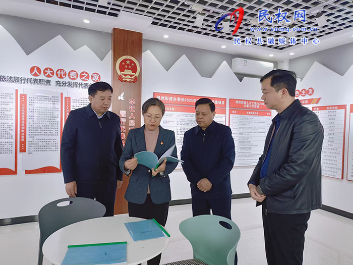 县委书记王静娴以人大代表身份到林七镇人大代表联络站开展活动 县委书记王静娴以人大代表身份到林七镇人大代表联络站开展活动