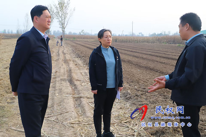县委书记王静娴调研秸秆禁烧和秋播秋种工作 县委书记王静娴调研秸秆禁烧和秋播秋种工作