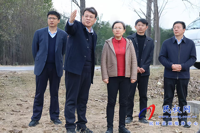 县委书记王静娴调研乡村重点工作