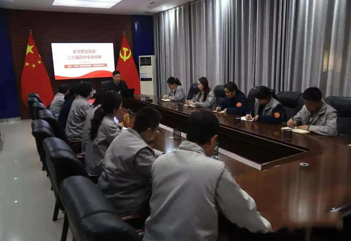 学习贯彻党的二十届四中全会精神县委宣讲团到河南澳柯玛电器有限公司宣讲