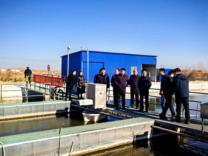 河南省外事办到庄子镇开展高质量发展项目现场会活动