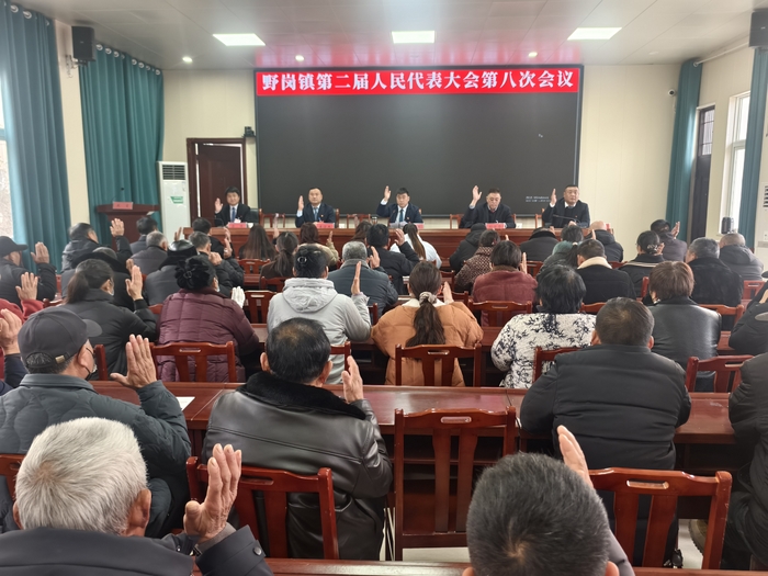 野岗镇召开第二届人民代表大会第八次会议