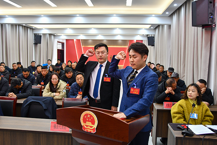 人和镇召开第六届人民代表大会第八次会议