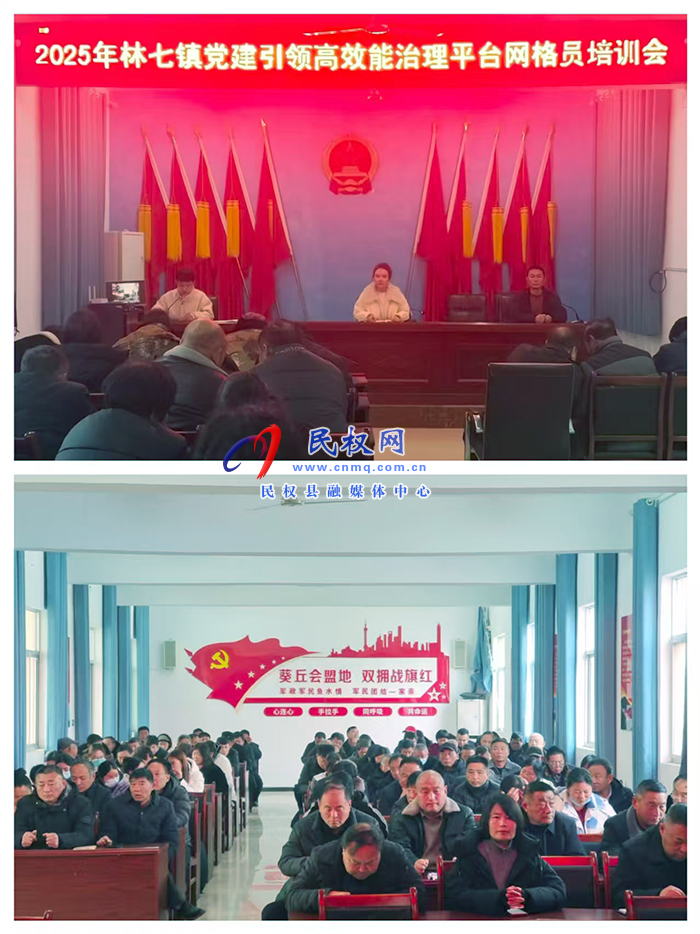 林七镇开展党建引领高效能治理平台网格员培训会