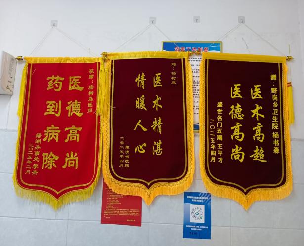 妙手仁心护安康  深耕岐黄暖民心     —— 记野岗镇中医科中医师杨树森 