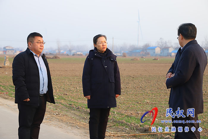 县委书记王静娴调研冬小麦生长和基层综合治理工作