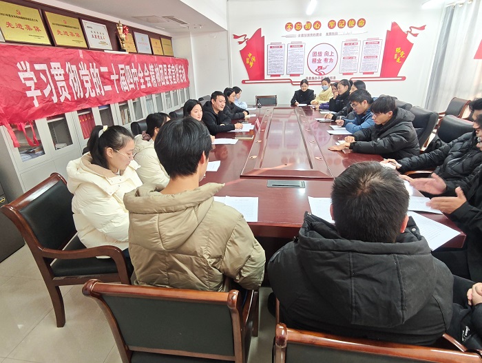 团县委扎实推进党的二十届四中全会精神落地生根