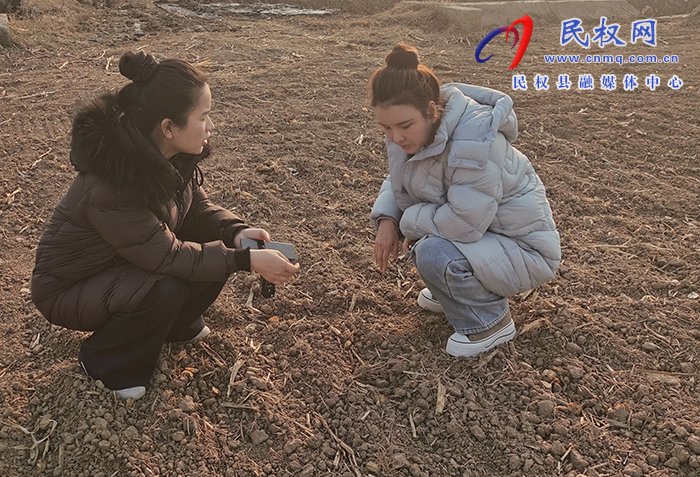 林七镇：多措并举做好冬季麦田管理  工作