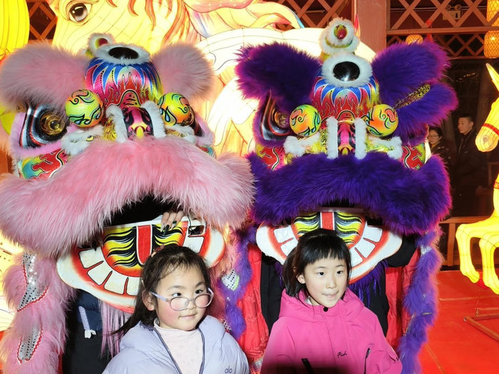 民权县“水乡任庄”新春大集璀璨启幕