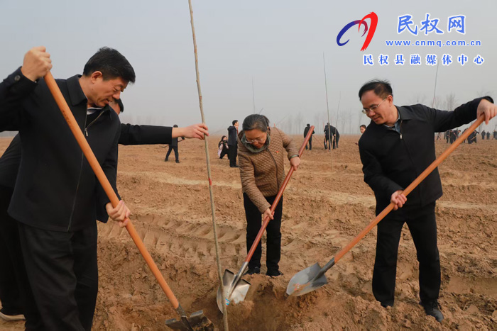 民权县四大家领导开展2026年春季义务植树活动