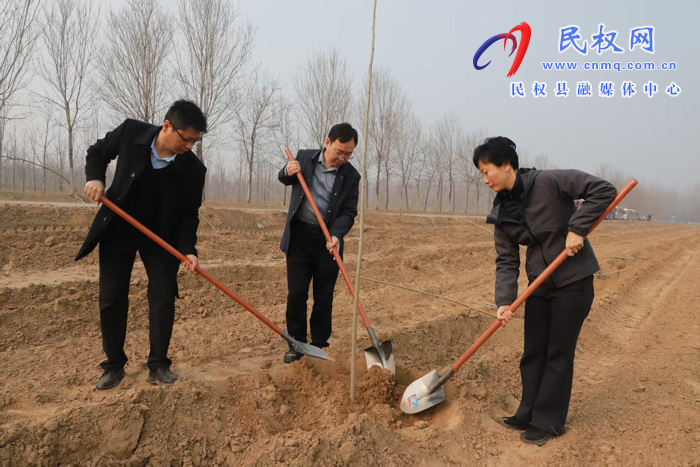 民权县四大家领导开展2026年春季义务植树活动