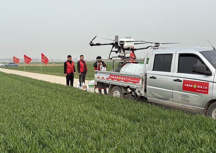 县供销合作社：筑牢粮食安全 扛起供销使命