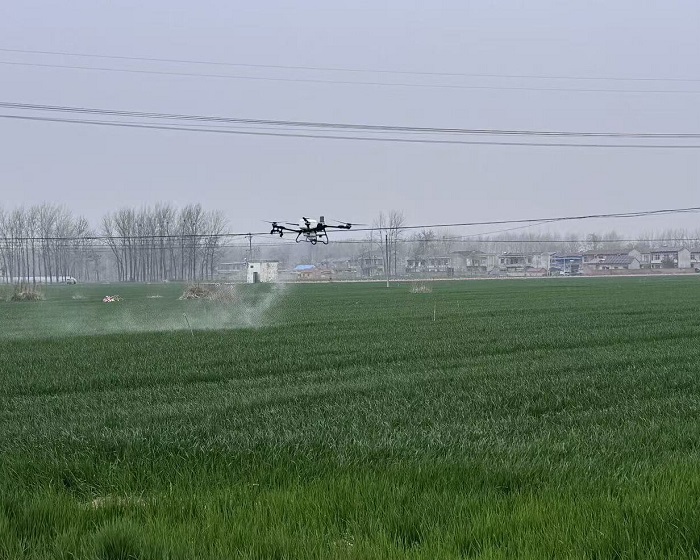 县供销合作社：筑牢粮食安全 扛起供销使命