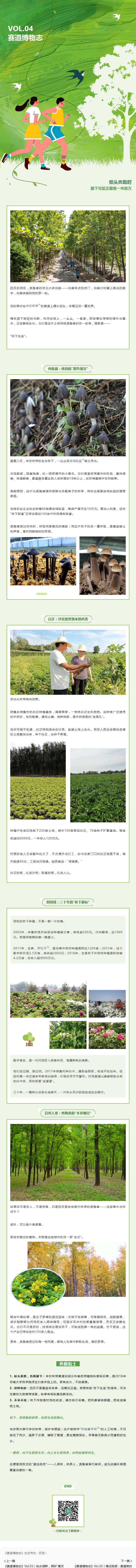 《赛道博物志》Vol.04｜林下生金：那些与槐林共生的“宝藏”