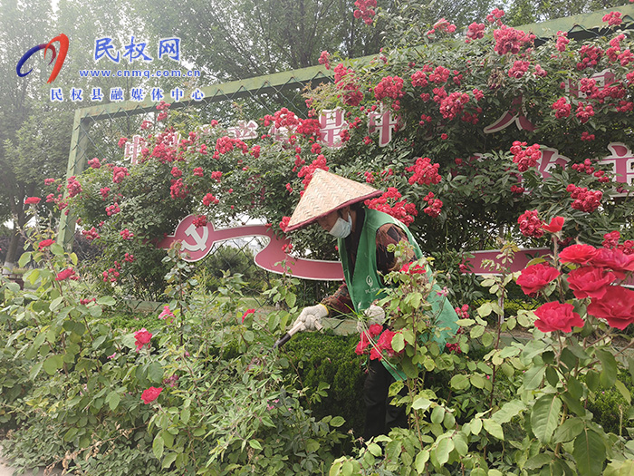 精细管护园林 守护满城绿色