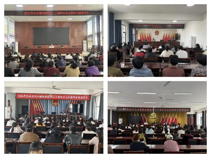 民权县妇联开展党的二十届四中全会精神宣讲活动