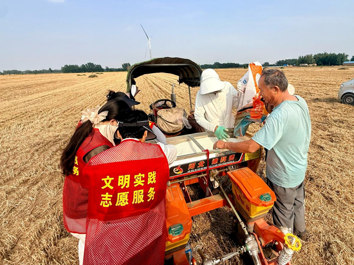 庄子镇：麦浪飘香迎丰收 秸秆变宝助增收