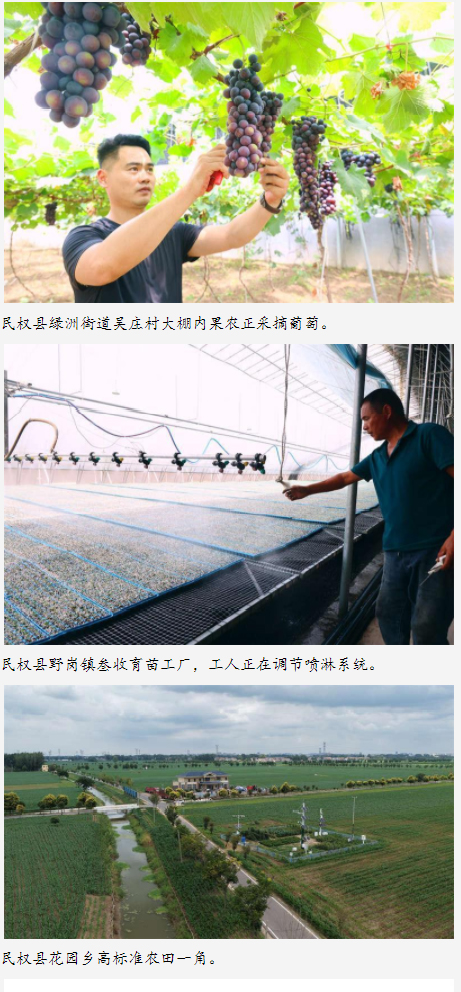 科技赋能民权 乡村振兴产业旺 科技赋能民权 乡村振兴产业旺