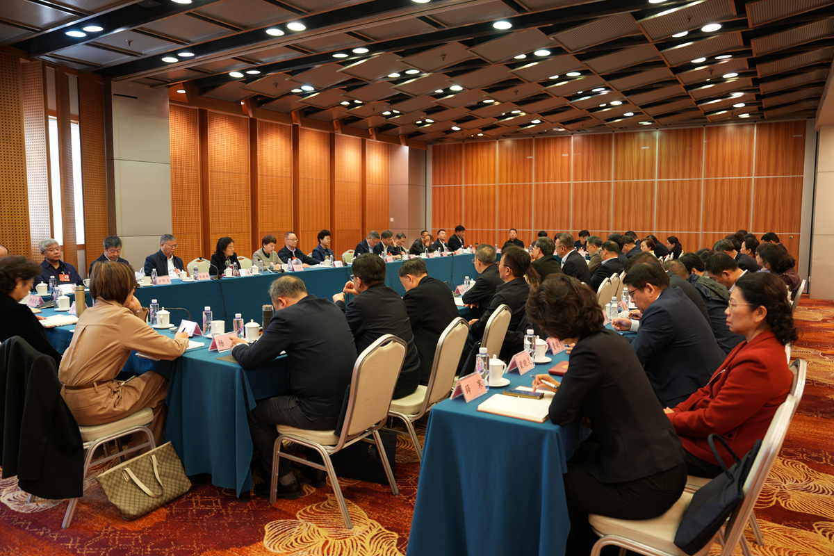 2025年民建界别全国政协委员履职座谈会在京召开