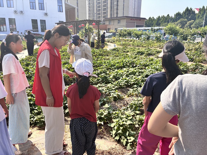 共青团民权县委深耕特色爱心托管 以多元服务护航青少年健康成长