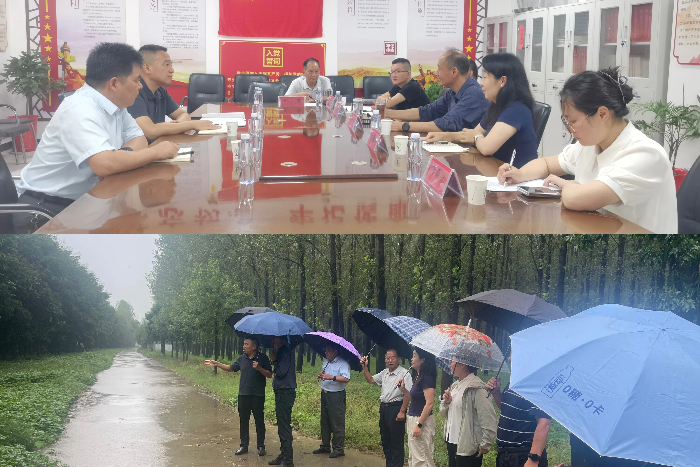 省林业科学研究院一行莅民调研林下经济