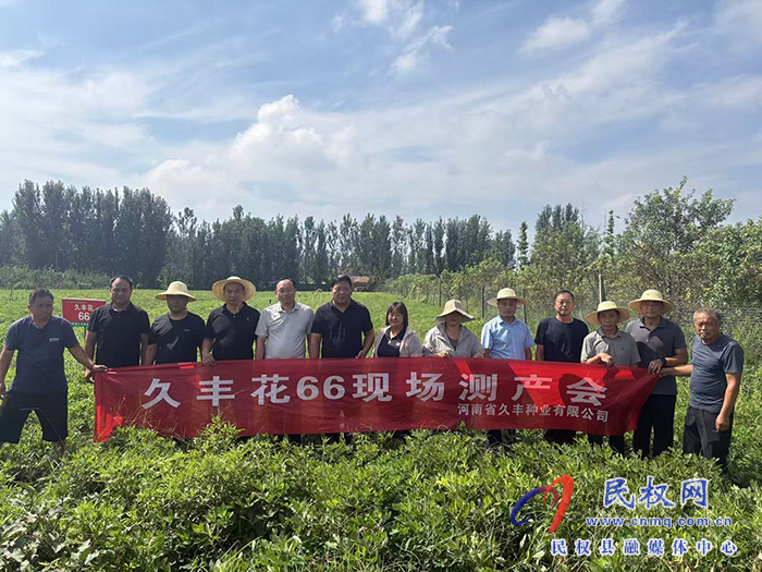 民权：开展花生实地测产 促进花生产业提质增效